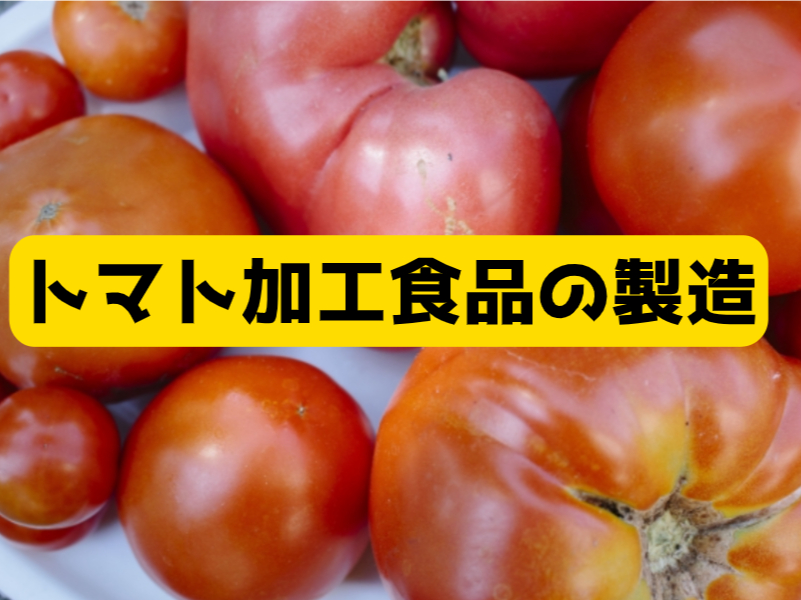 株式会社 ノースウエーブ・ジョブの画像・写真